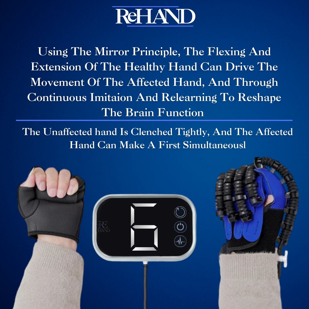 Rediscover Independence: How Rehand Supports Hand Rehabilitation with ...